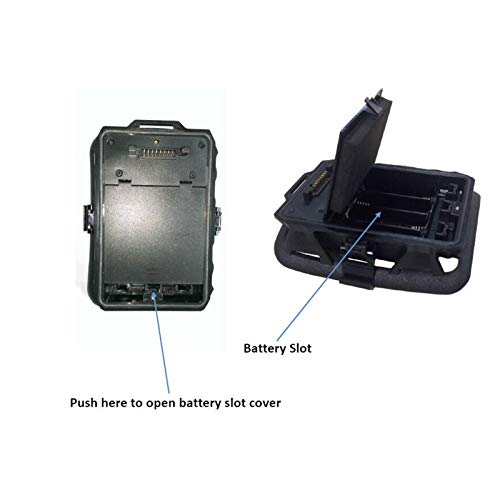 Zidao Juego De La Cámara MMS GPRS SMTP FTP Path Finder, Animal Salvaje 12 MP Cámara Digital De Infrarrojos Cámara De La Caza LED A Prueba De Lluvia Grabador De Vídeo HD IR,Verde