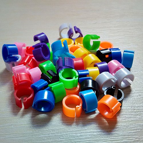 100 Piezas Mezcló las alas del Anillo del Pie del Pájaro del Color Pequeños Anillos Plásticos del Clip de la Pierna para las Pequeñas Aves o Paloma