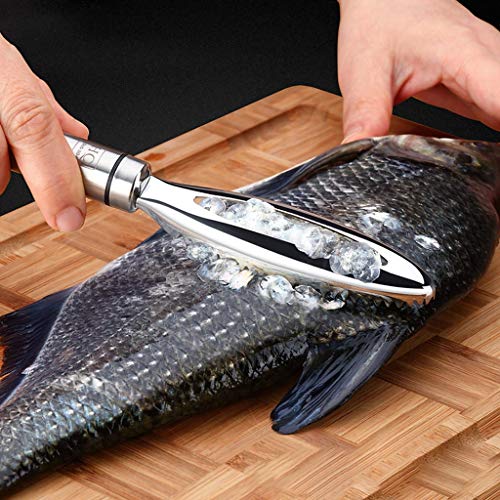 1pcs Inoxidable Acero Fish Scales Raspador Escalador Del Limpiador Del Removedor Marisco Herramientas Herramienta De Coco Fruta De La Cocina Ralladores Máquina De Afeitar