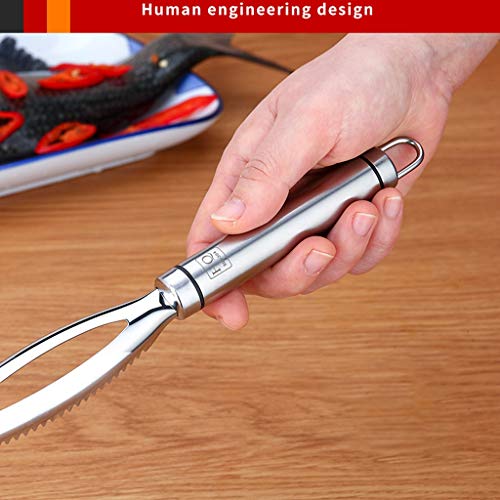 1pcs Inoxidable Acero Fish Scales Raspador Escalador Del Limpiador Del Removedor Marisco Herramientas Herramienta De Coco Fruta De La Cocina Ralladores Máquina De Afeitar