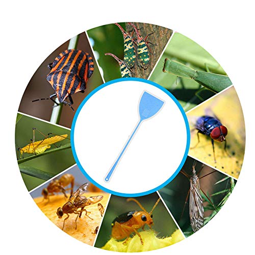 6 Piezas Raqueta matamoscas, matamoscas Pest Control, Inicio Accesorios de Cocina Palma de la Mano en Forma de plástico Flyswatter, Ayudante de Cocina (44.5x12cm)