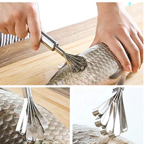 Acero Inoxidable de Coco Shaver Graters Fruta máquina de Cortar Mariscos Pescado Escala Piel Vegetal de Frutas pelador de Cocina Accesorios Gadgets