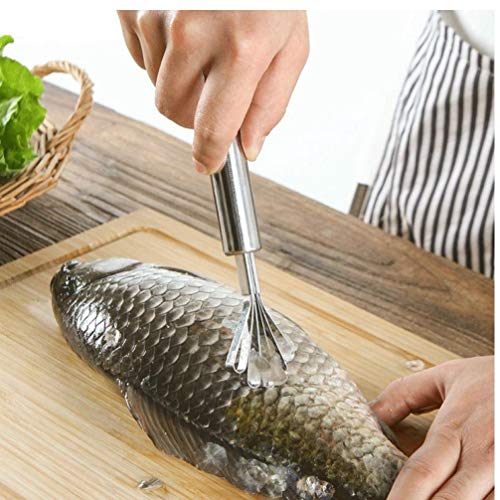 Acero Inoxidable de Coco Shaver Graters Fruta máquina de Cortar Mariscos Pescado Escala Piel Vegetal de Frutas pelador de Cocina Accesorios Gadgets
