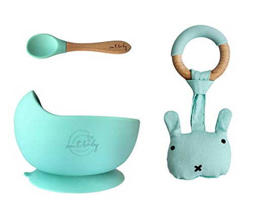 AMTBABY Vajilla silicona Bebé. Bowl con ventosa, Cuchara de madera y Mordedor. Aprendizaje BLW | Dentición | Perro