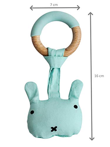 AMTBABY Vajilla silicona Bebé. Bowl con ventosa, Cuchara de madera y Mordedor. Aprendizaje BLW | Dentición | Perro