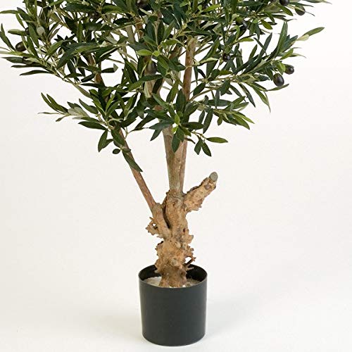 artplants.de Set 'Olivo sintético + Spray de protección UV' - Olivo Artificial Alexandros, Tronco Real, con Frutos, Verde, 120cm