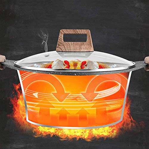 Baibao Resistente al Calor de la Tapa de la cazuela con el Vidrio y manijas, Maifan Stone Soup Pot, Nonstic Cazo por Fogón de Gas Lavadora A Diámetro: 28 cm (11 Pulgadas)