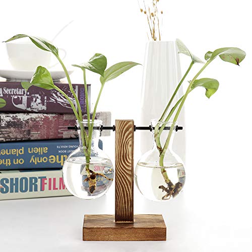 Belupai - Jarrón para plantas hidropónicas vintage con marco de madera transparente y marco de cristal, decoración para el hogar, bonsái (C – 2 floreros de bulbos