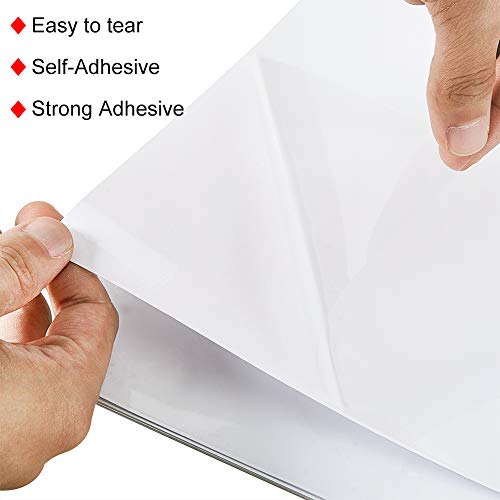 BENECREAT 10 PCS Hojas Adhesivas de Plantilla con Respaldo Adhesivo, A4 Papel PVC Transparente Apto para Impresora de Láser y Máquinas de Troquelado, Etiqueta de Comida y Deciración 29.7x21cm