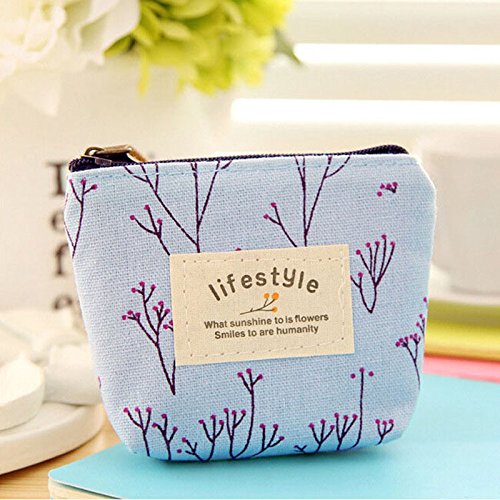 BIGBOBA 4Pcs monederos de Mujer de Tejido, pequeños, para almacenar Llaves, móvil, Barra de Labios, Tarjetas (4pcs-a)