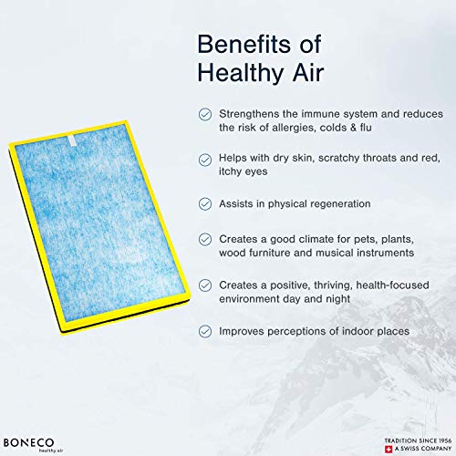BONECO - Filtro HEPA para alergia A501 con carbón activado para el purificador de aire P500
