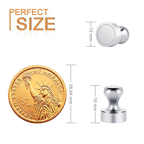BUSATIA Imán 12 piezas, Imanes de Neodimio con Caja de Almacenamiento, N52 Potentes Imanes de 12x16mm para Pizarra Tablero Magnético Refrigerador Mini Imán Portátil