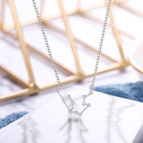 Clearine Mujer Collares Serie de Constelación - Acuario Colgante Plata de Ley 925 Horóscopo Exclusivo para Regalo Boda Novia