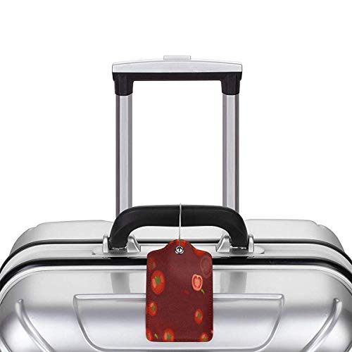 Colorido gato caracol caracol casa Lage tags bolsa de piel sintética diseño de etiquetas de viaje con cubierta de privacidad con bucles de acero