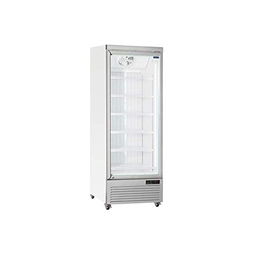 Cool Head - Armario refrigerado profesional con cristal (560 L)