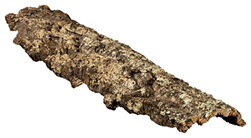 Corteza de corcho: pedazo de corcho 100x30 cm (corcho natural, corcho decorativo)