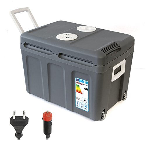 Dino Fuerza del paquete 131002 Thermo caja termoeléctrica – Nevera portátil eléctrica 40L 12 V 230 V
