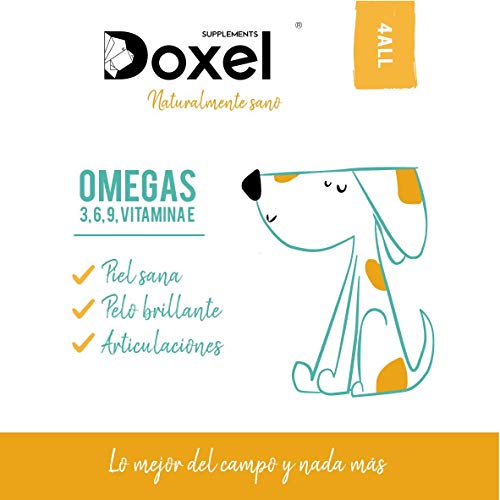 Doxel 4all-250ml Aceite para Perros| Suplemento Natural | Sistema Inmunitario Reforzado| Articulaciones sanas| Pelo Brillante| Piel Sana| Ácidos grasos Omega 3 6 9| Vitamina E| Alergias Perro|Natural