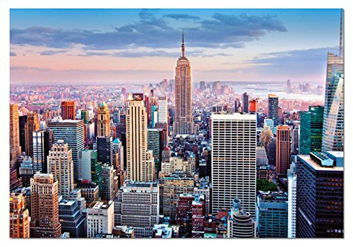 Educa Borras - Genuine Puzzles, Puzzle 1.000 piezas, Manhattan, Nueva York (14811)