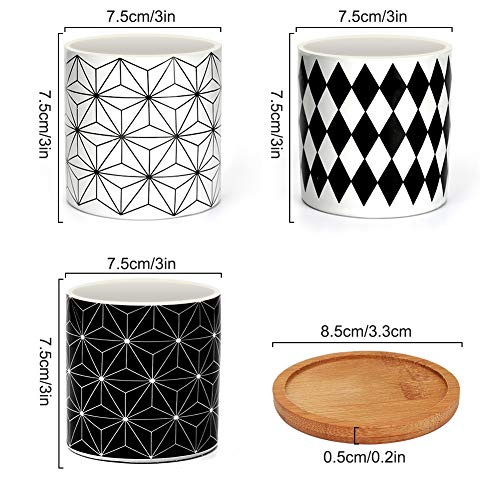 Ertisa 7.5CM Macetas para Cactus de Cemento con Plato de Bambú Paquete de 3, Mini Maceteros Pequeños para Suculento Plantas Casa y Jardin Boda Decorativos Interior