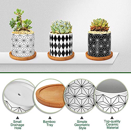 Ertisa 7.5CM Macetas para Cactus de Cemento con Plato de Bambú Paquete de 3, Mini Maceteros Pequeños para Suculento Plantas Casa y Jardin Boda Decorativos Interior