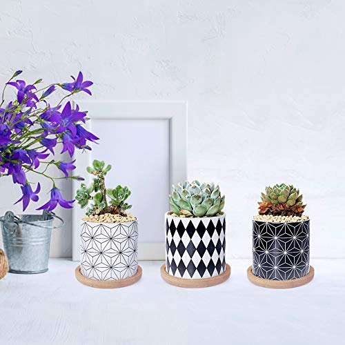 Ertisa 7.5CM Macetas para Cactus de Cemento con Plato de Bambú Paquete de 3, Mini Maceteros Pequeños para Suculento Plantas Casa y Jardin Boda Decorativos Interior