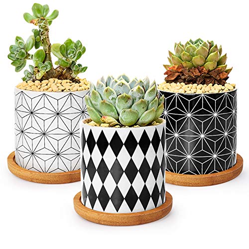 Ertisa 7.5CM Macetas para Cactus de Cemento con Plato de Bambú Paquete de 3, Mini Maceteros Pequeños para Suculento Plantas Casa y Jardin Boda Decorativos Interior