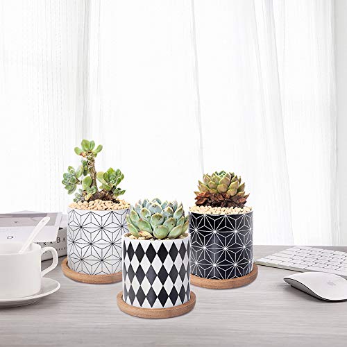 Ertisa 7.5CM Macetas para Cactus de Cemento con Plato de Bambú Paquete de 3, Mini Maceteros Pequeños para Suculento Plantas Casa y Jardin Boda Decorativos Interior