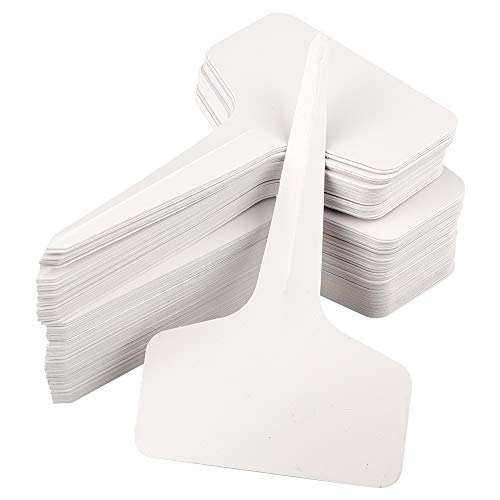 Etiquetas y marcadores de plástico en forma de T para jardinería, de 6 x 10 cm, 100 unidades