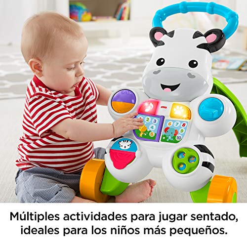 Fisher-Price - Cebra parlanchina primeros pasos - andador bebes - 6 meses - 3 años (Mattel DLD87)