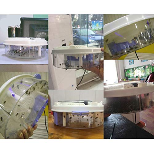 Flytrap - Atrapamoscas eléctrico giratorio automático para mosquitos y mosquitos para hoteles y hogares