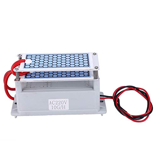 Generador de ozono 10g Purificador de aire para el hogar Ozonizador Limpiador de aire Esterilización Olor(220V)