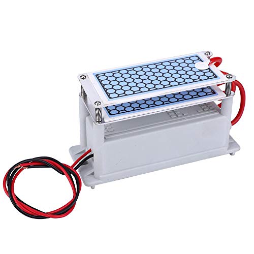Generador de ozono 10g Purificador de aire para el hogar Ozonizador Limpiador de aire Esterilización Olor(220V)