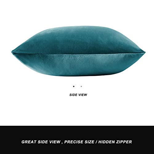 Gigizaza Azul Pavo Real Terciopelo Almohada Cubre Caso Suave decoración Fundas de de cojín para sofá Dormitorio Coche Cama Casa Decor 45x45cm ，Pack de 2