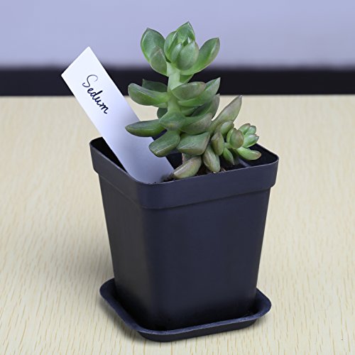 GWHOLE 100 Piezas Planta Etiquetas de Plástico + Rotulador, 2 Tipos Tags T y I, Marcadores para Planta Reutilizable Blanco de Jardín