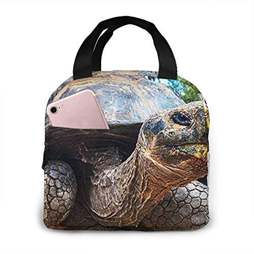 Hdadwy Bolsa de almuerzo con aislamiento para mujeres, hombres, tortuga de las islas Galápagos, bolsa de almuerzo reutilizable, organizador de caja de almuerzo, bolsa refrigeradora con bolsillo fronta