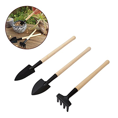 Homagty Kit de 14 petits outils pour transplantation / entretien manuel de terrarium