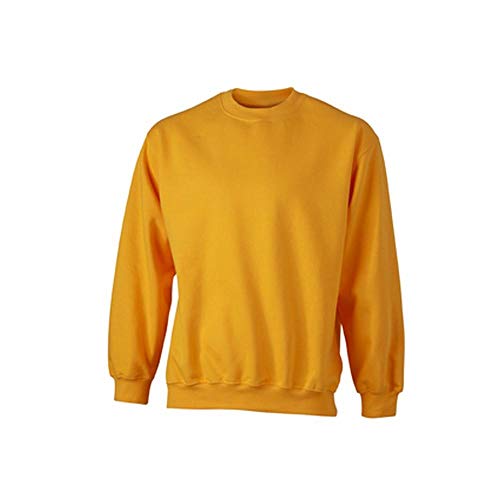 James and Nicholson - Jersey Pesado de Cuello Redondo Unisex (S) (Berenjena)