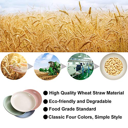 Juego de 12 platos de paja de trigo, irrompibles y ligeros, platos de cena aptos para microondas, perfecto para ensalada, pasta, bistec y frutas (16,8 cm, 7,8 pulgadas), 8,8 pulgadas.