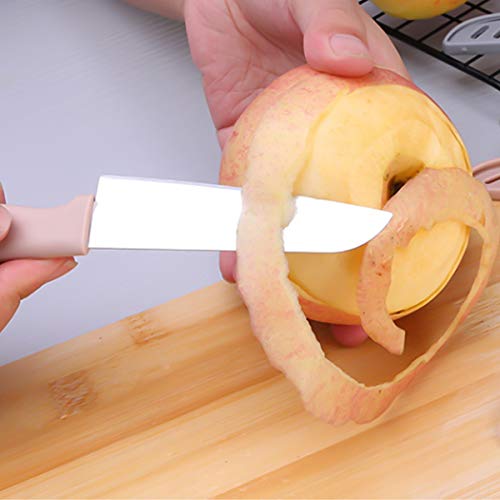 Juego de 6 cuchillos de fruta, cuchillo de frutas afilado y duradero con cubierta protectora, apto para la mayoría de los tipos de verduras, frutas y carne (rosa, azul, verde, negro, amarillo, rojo)