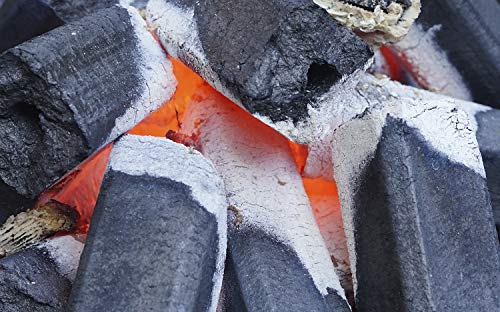 Ken Chiku Carbon Blanco Binchotan | 10kg De Briquetas para Barbacoa | Quema para Mucho Tiempo | Sin Humo Ni Olor | Carbón Grado Restaurante | Asegura Comida con Sabores Puros