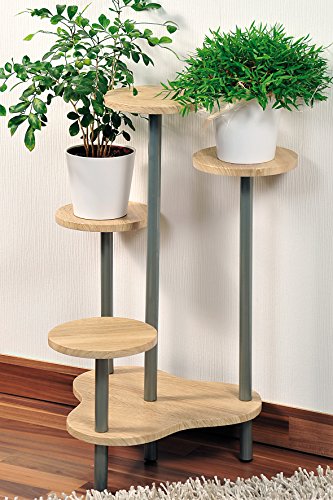 Kesper – Madera de Roble decoración – Soporte para Flores, Color marrón/Gris