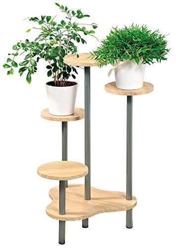 Kesper – Madera de Roble decoración – Soporte para Flores, Color marrón/Gris