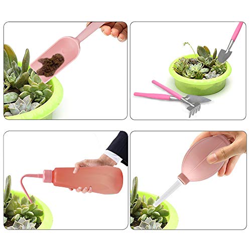 KINGLAKE Herramientas suculentas de trasplante de Color Rosa, 12 Piezas de Mini Herramientas manuales de jardín, Entusiasta de la jardinería suculenta