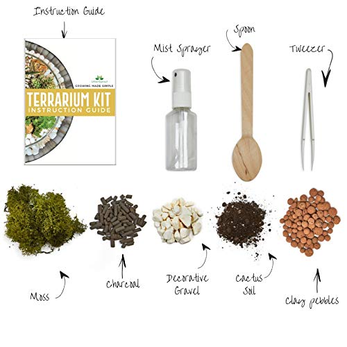 Kit de terrario para plantas suculentas y cactus. Incluye tierra de cactus, musgo, grava y guía paso a paso