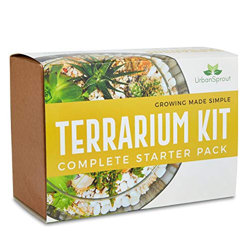 Kit de terrario para plantas suculentas y cactus. Incluye tierra de cactus, musgo, grava y guía paso a paso