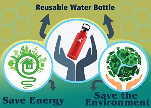 KollyKolla Botella de Agua Acero Inoxidable, Termo Sin BPA Ecológica Reutilizable, Botella Termica con Pajita y Filtro, Water Bottle para Niños & Adultos, Deporte, Oficina (350ml Morado Oscuro)