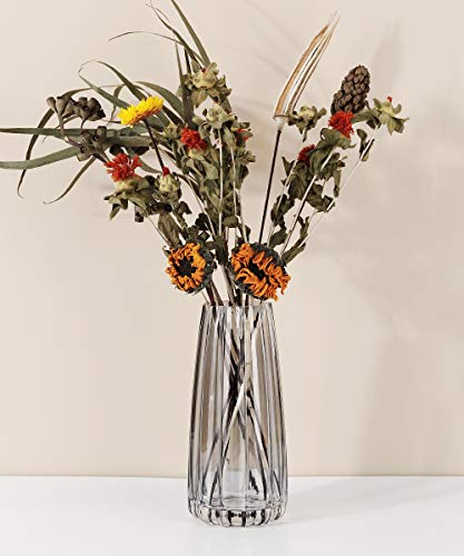 Lewondr Florero de Vidrio, 22CM Florero Decorativo Estilo Ins de Cristal Translúcido, Adecuado para Colocar Diferentes Tipos de Ramos de Flores en Oficina, Hogar, Cocina, Dormitorio – Gris Ahumado