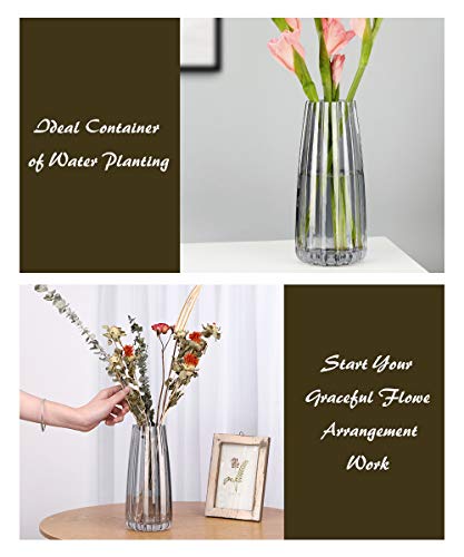 Lewondr Florero de Vidrio, 22CM Florero Decorativo Estilo Ins de Cristal Translúcido, Adecuado para Colocar Diferentes Tipos de Ramos de Flores en Oficina, Hogar, Cocina, Dormitorio – Gris Ahumado