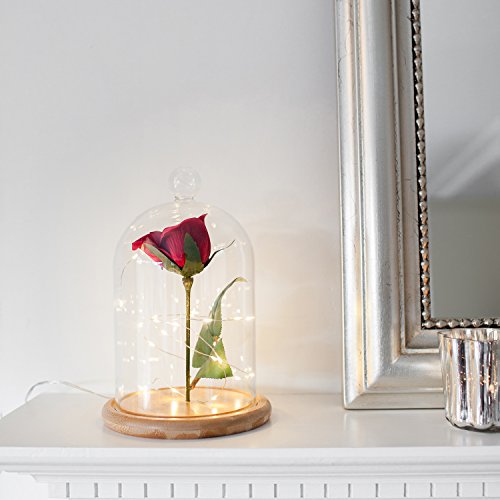 Lights4fun Campana de Cristal Alta 21cm con Base de Bambú y Micro LED de Luz Blanca Cálida